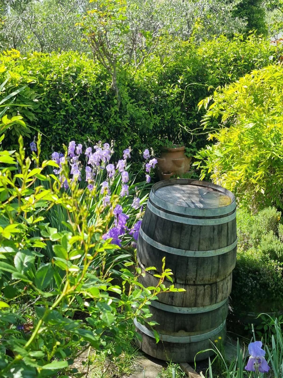 Dimora Nel Chianti Guest House San Sano ภายนอก รูปภาพ